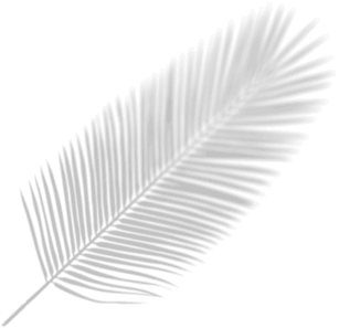 shape2